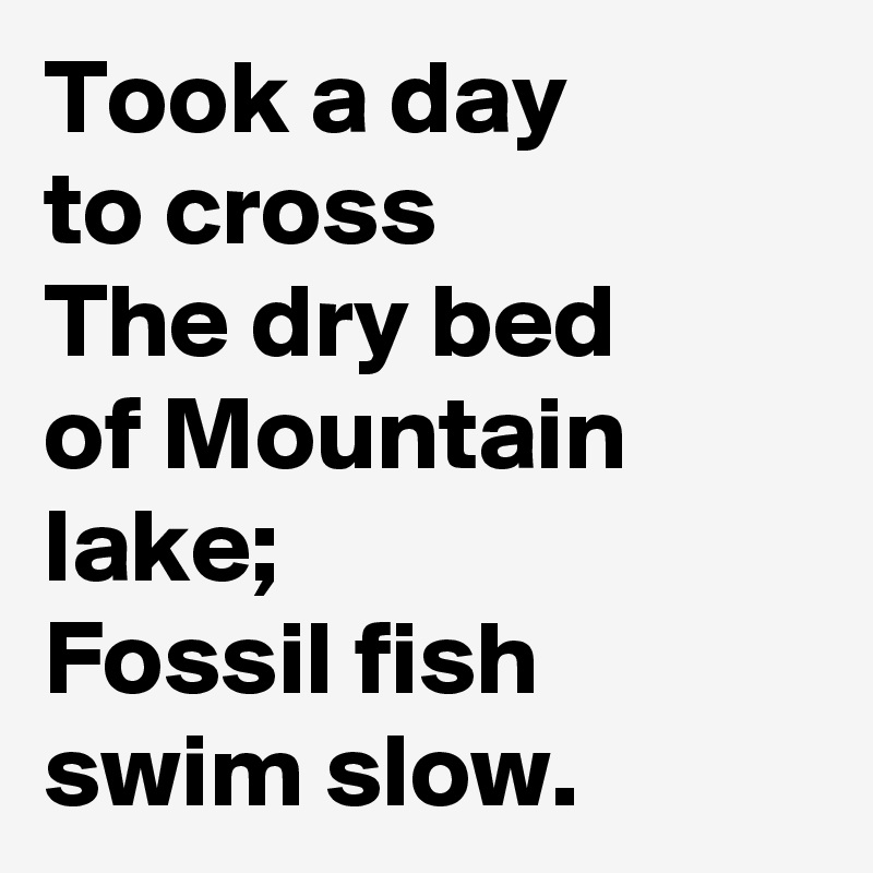 Took a day 
to cross
The dry bed  of Mountain lake; 
Fossil fish swim slow.
