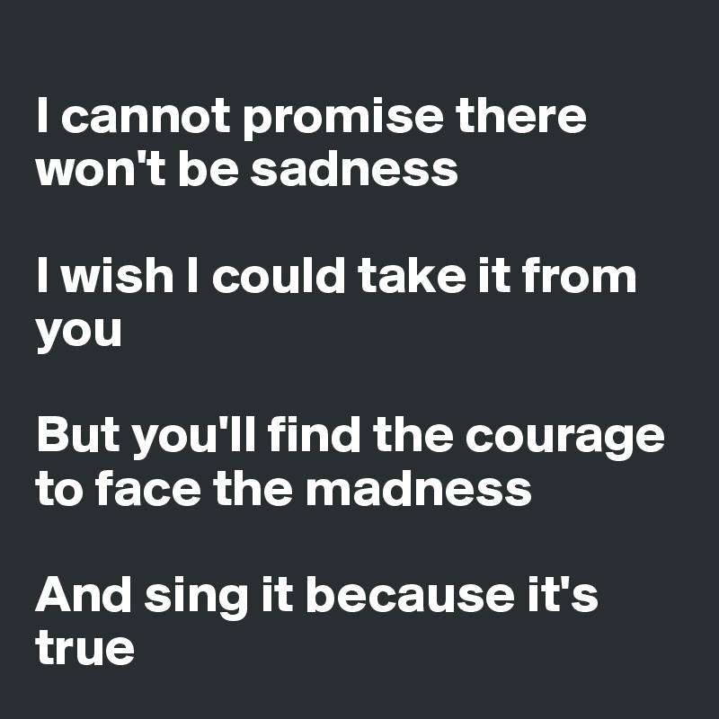 
I cannot promise there won't be sadness

I wish I could take it from you

But you'll find the courage to face the madness

And sing it because it's true