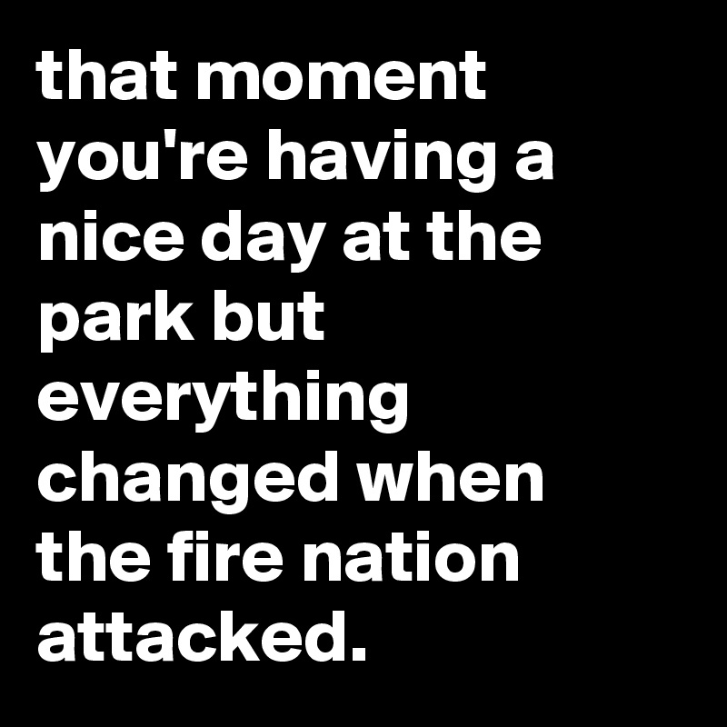 that moment you're having a nice day at the park but everything changed when the fire nation attacked.