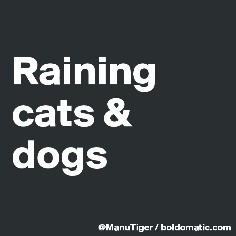 
Raining cats & dogs
