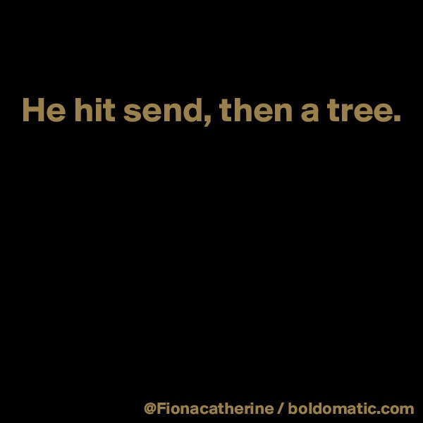 

He hit send, then a tree.






