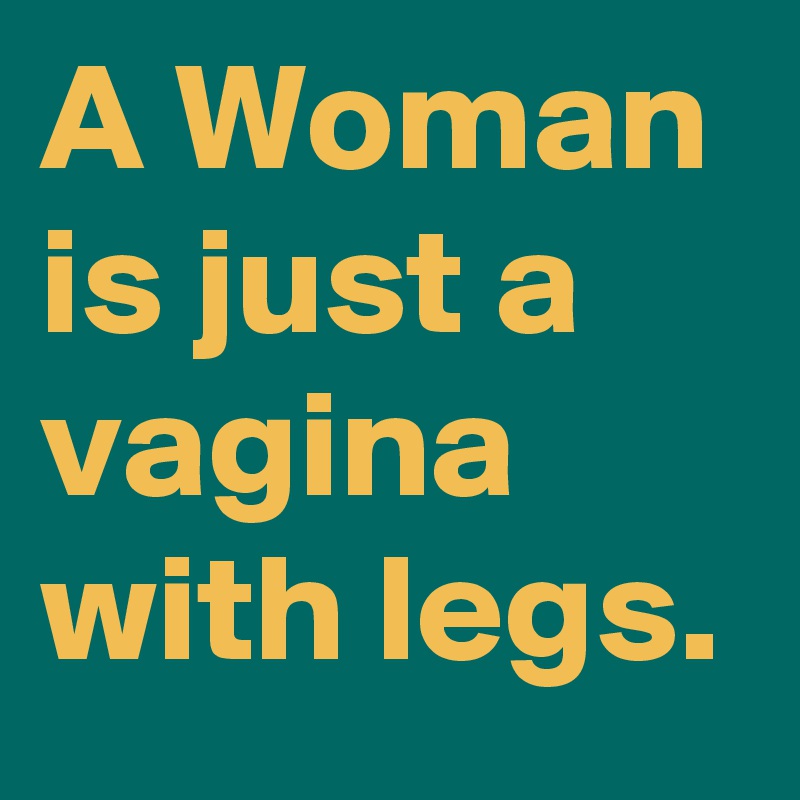 A Woman is just a vagina with legs.