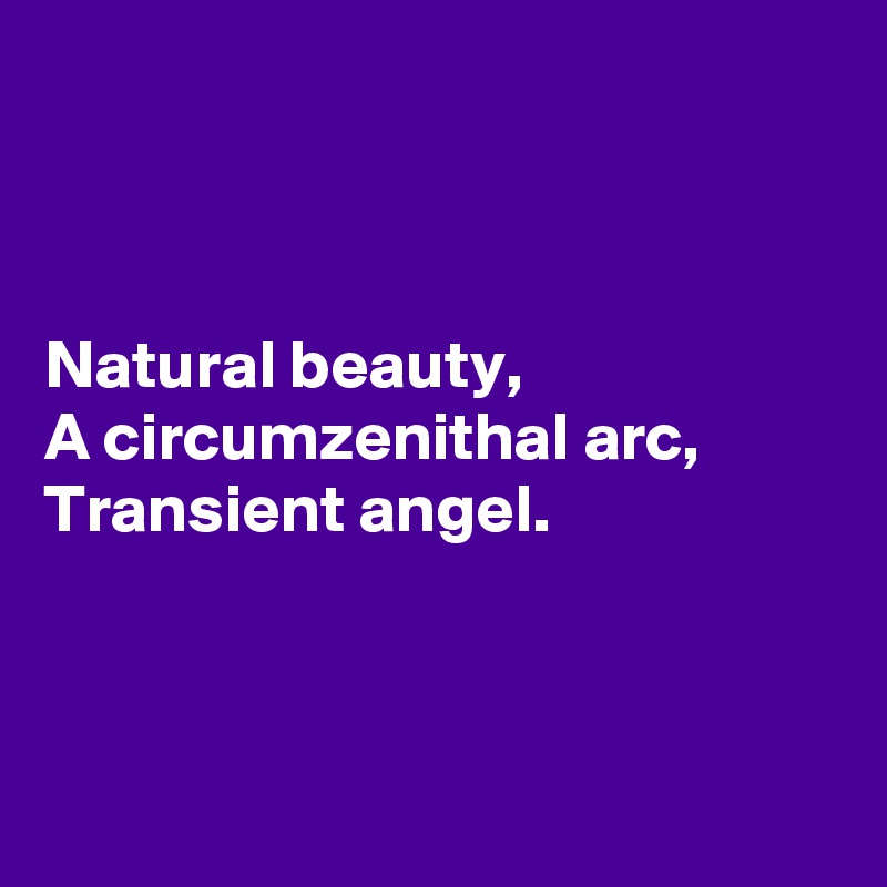 



Natural beauty,
A circumzenithal arc,
Transient angel.



