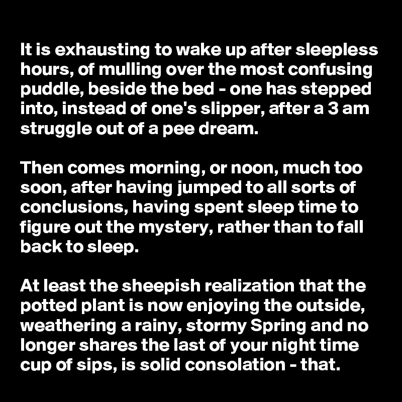 
It is exhausting to wake up after sleepless hours, of mulling over the most confusing puddle, beside the bed - one has stepped into, instead of one's slipper, after a 3 am struggle out of a pee dream. 

Then comes morning, or noon, much too soon, after having jumped to all sorts of conclusions, having spent sleep time to figure out the mystery, rather than to fall back to sleep. 

At least the sheepish realization that the potted plant is now enjoying the outside, weathering a rainy, stormy Spring and no longer shares the last of your night time cup of sips, is solid consolation - that.