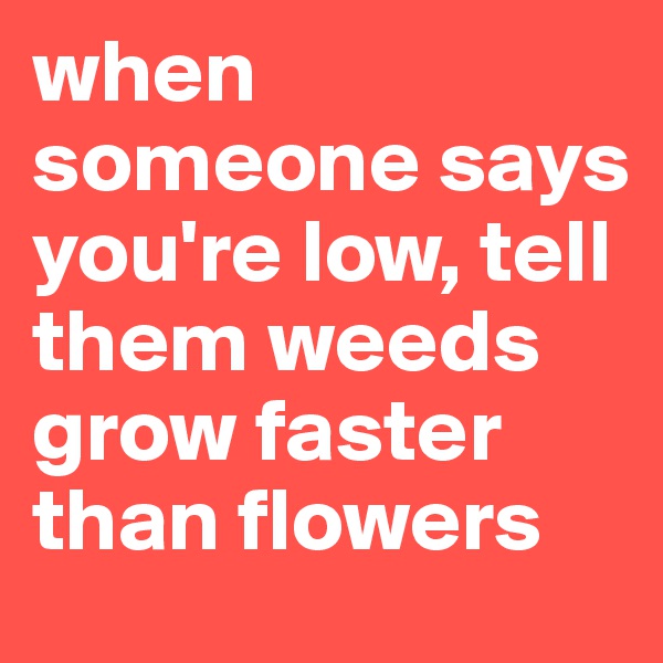 when someone says you're low, tell them weeds grow faster than flowers