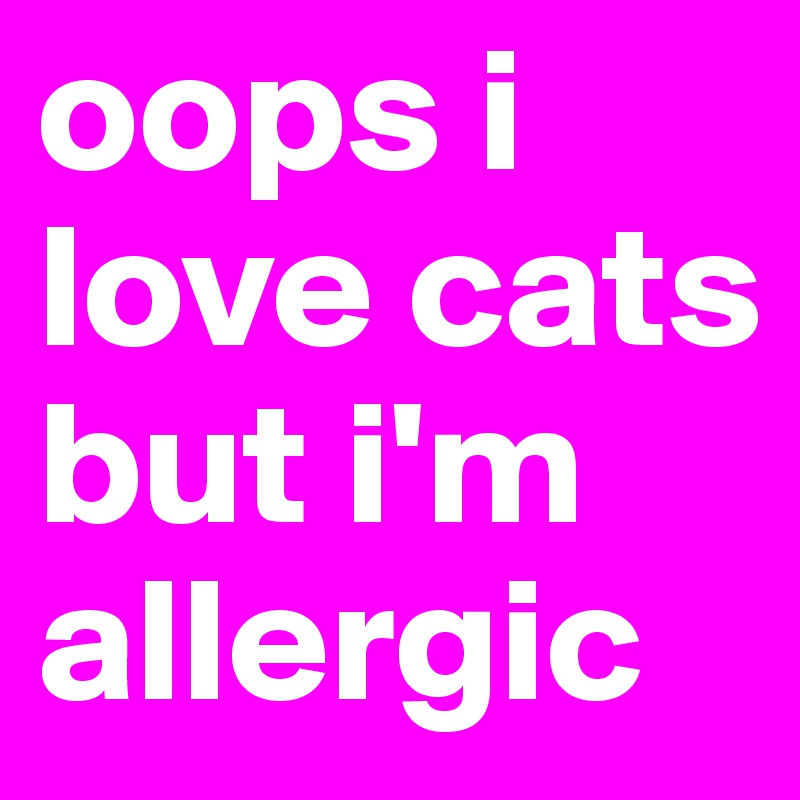 oops i love cats but i'm allergic