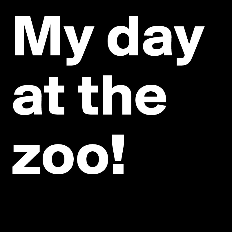 my day at the zoo