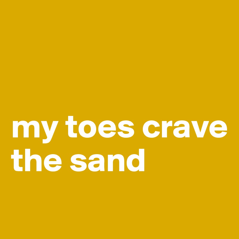 


my toes crave the sand
