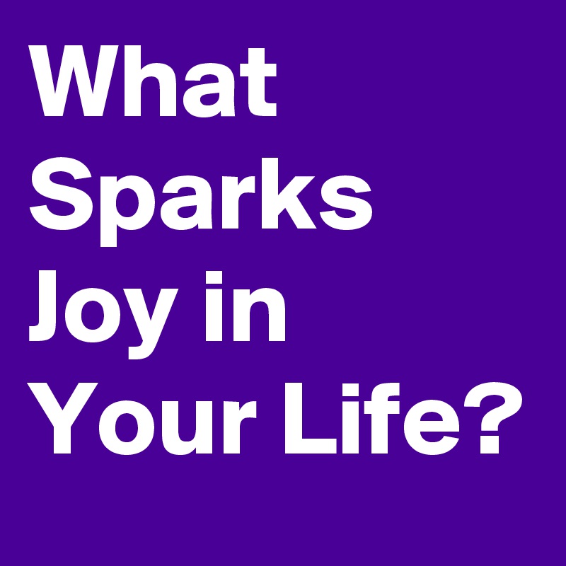 What Sparks Joy In Your Life