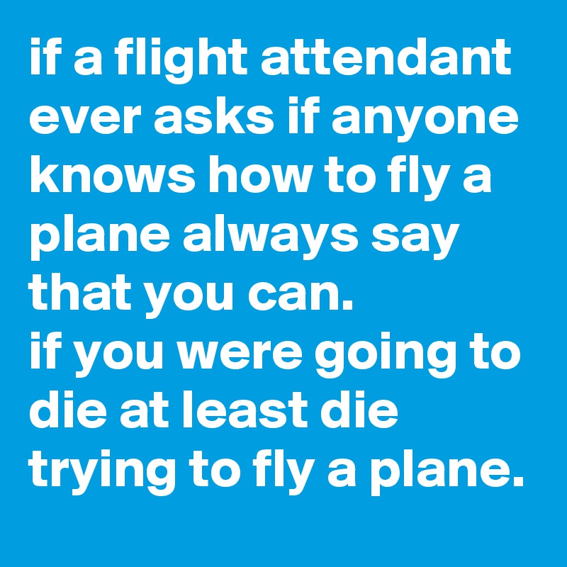 if a flight attendant ever asks if anyone knows how to fly a plane ...