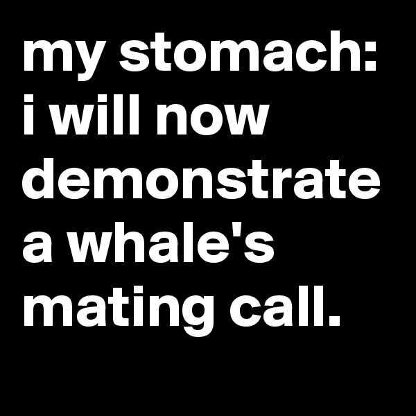 my stomach: i will now demonstrate a whale's mating call.