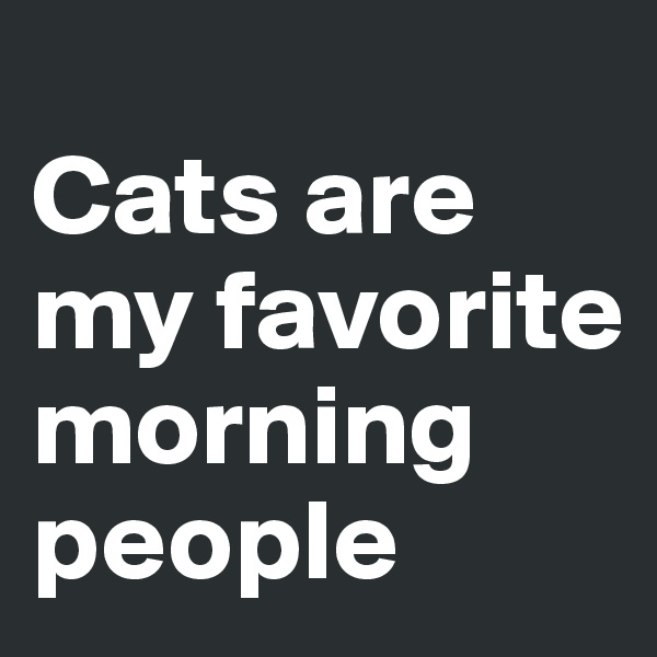 
Cats are my favorite morning people