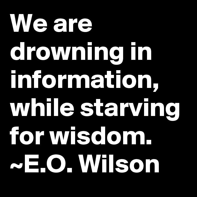 We are drowning in information, while starving for wisdom. ~E.O. Wilson
