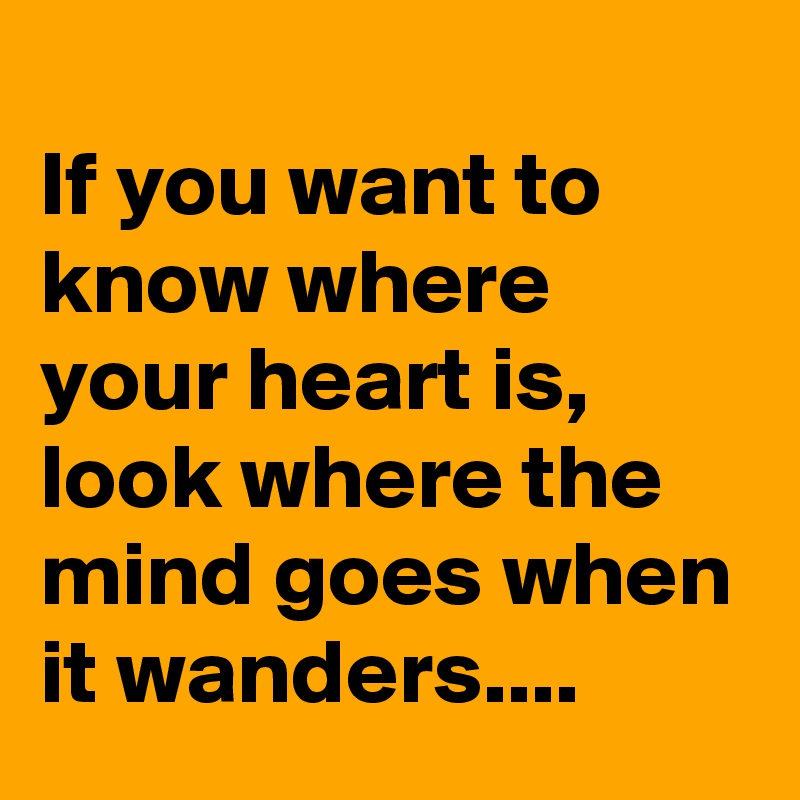 
If you want to know where your heart is, look where the mind goes when it wanders....