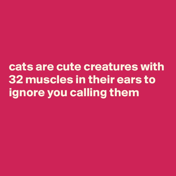 



cats are cute creatures with 32 muscles in their ears to ignore you calling them





