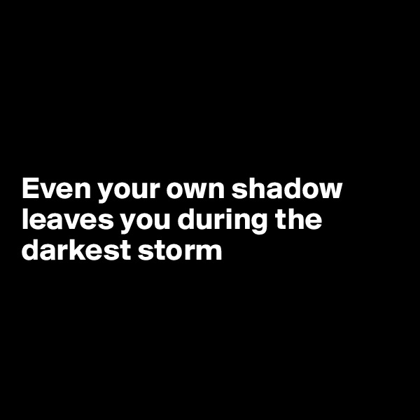 




Even your own shadow leaves you during the darkest storm


 

