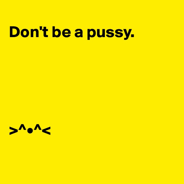 
Don't be a pussy.





>^•^<

