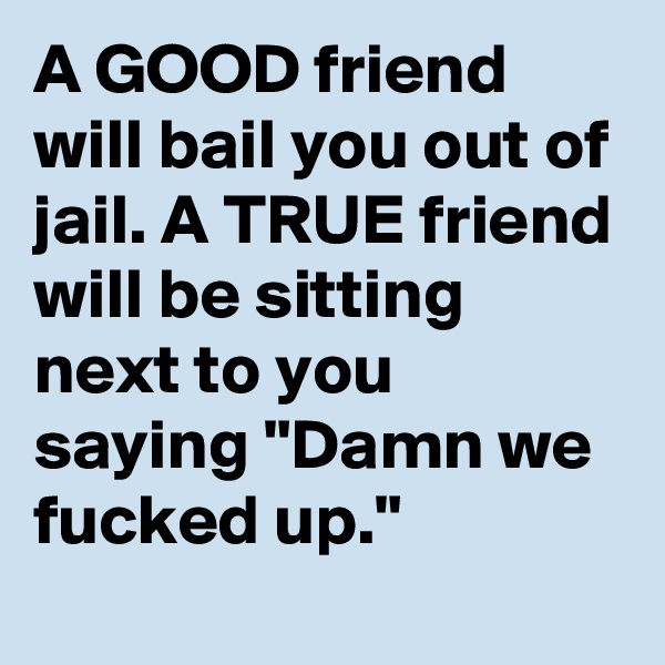 A GOOD friend will bail you out of jail. A TRUE friend will be sitting next to you saying "Damn we fucked up."