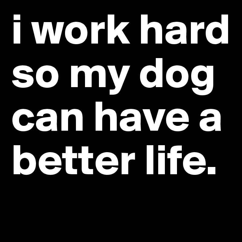 i work hard so my dog can have a better life.