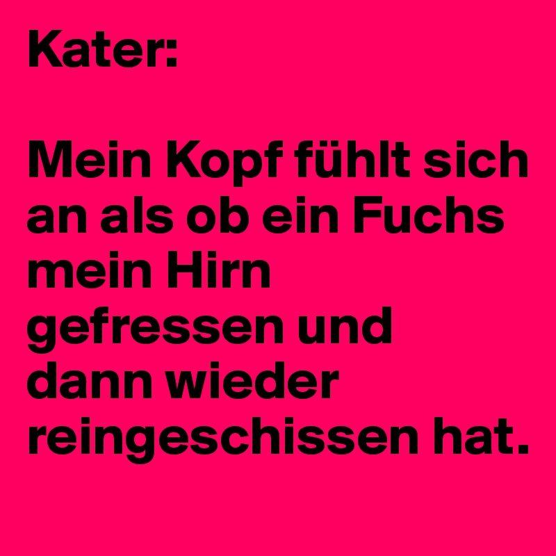 Kater:

Mein Kopf fühlt sich an als ob ein Fuchs mein Hirn gefressen und dann wieder reingeschissen hat.