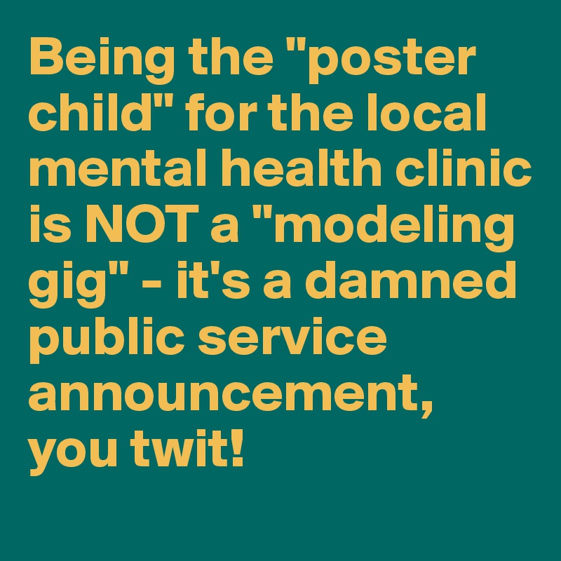 Being the "poster child" for the local mental health clinic is NOT a "modeling gig" - it's a damned public service announcement, you twit!