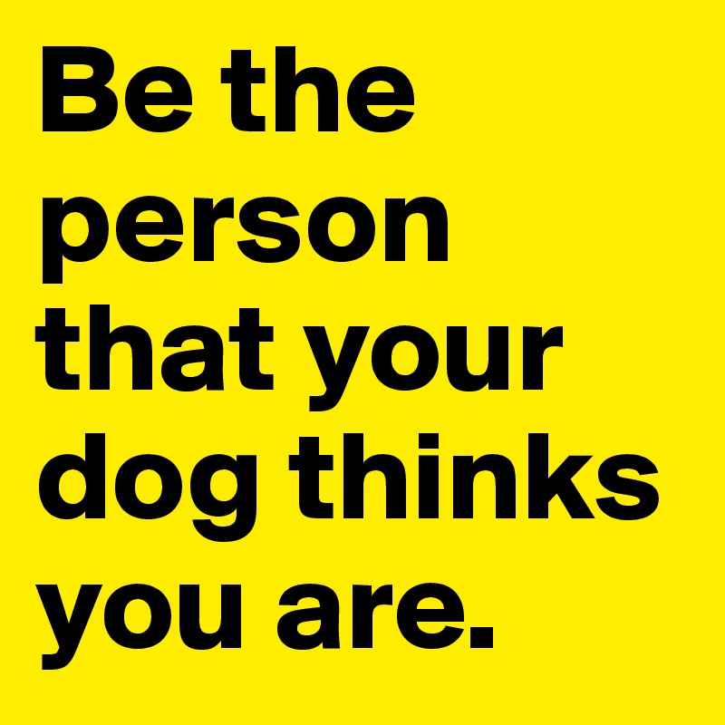 Be the person that your dog thinks you are.