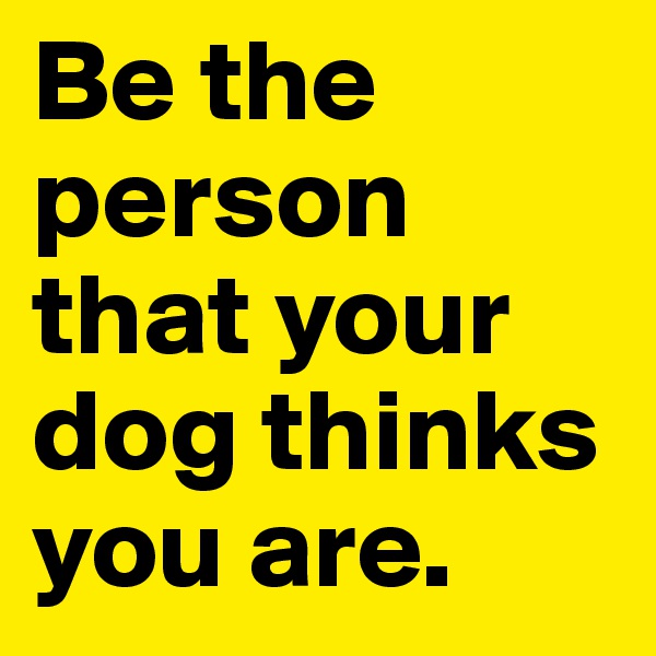 Be the person that your dog thinks you are.
