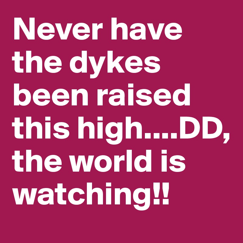 Never have the dykes been raised this high....DD, the world is watching ...