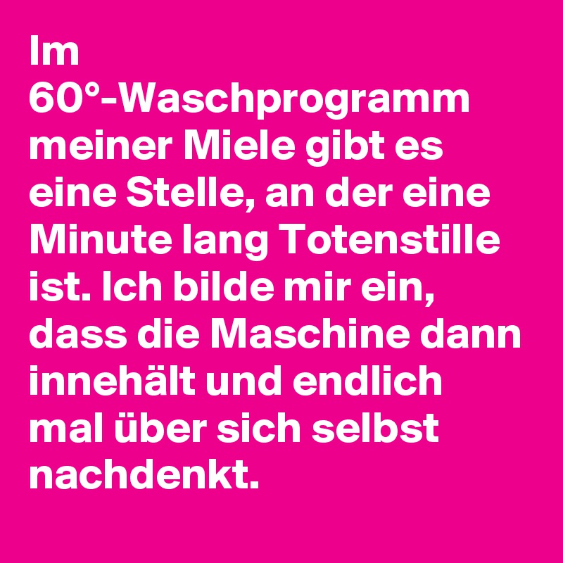 Im 60°-Waschprogramm meiner Miele gibt es eine Stelle, an der eine Minute lang Totenstille ist. Ich bilde mir ein, dass die Maschine dann innehält und endlich mal über sich selbst nachdenkt.