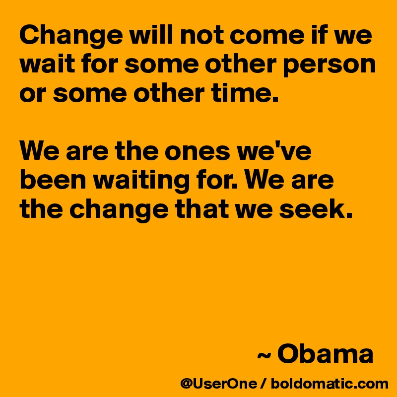 Change will not come if we wait for some other person or some other time.

We are the ones we've been waiting for. We are the change that we seek.




                                         ~ Obama