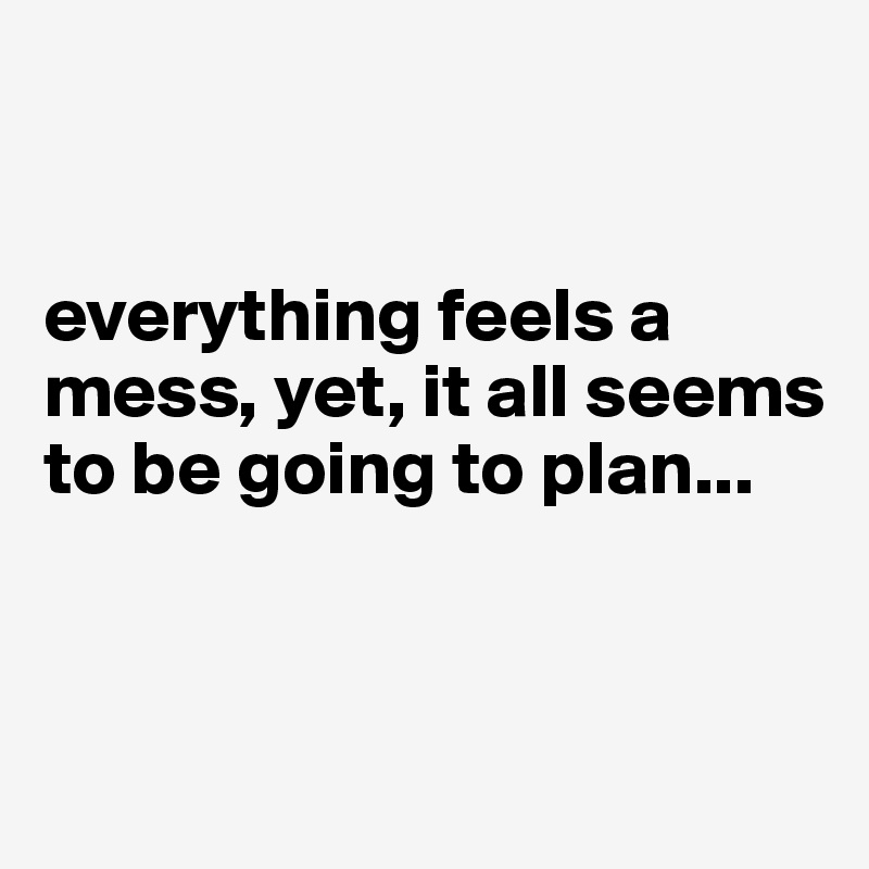 


everything feels a mess, yet, it all seems to be going to plan...



