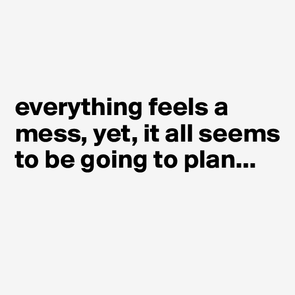 


everything feels a mess, yet, it all seems to be going to plan...




