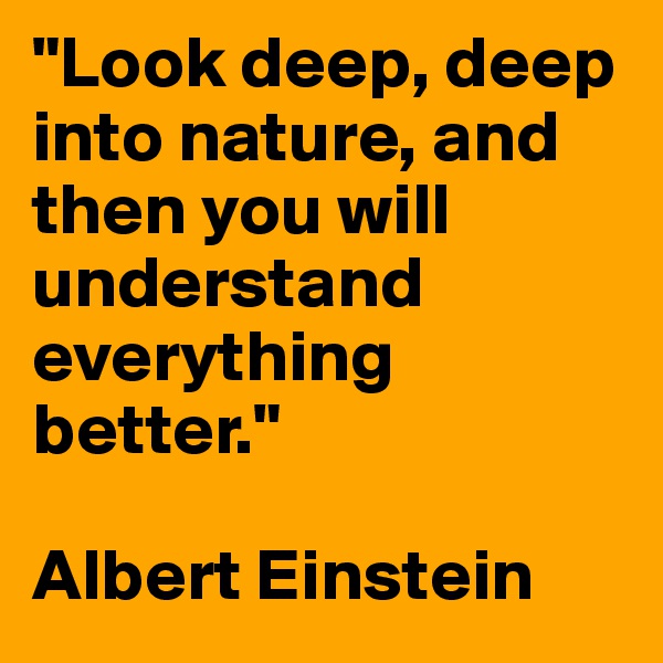 "Look deep, deep into nature, and then you will understand everything better." 

Albert Einstein