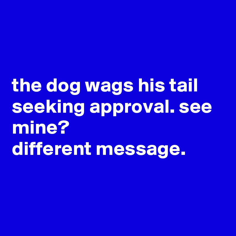 


the dog wags his tail
seeking approval. see mine?
different message.


