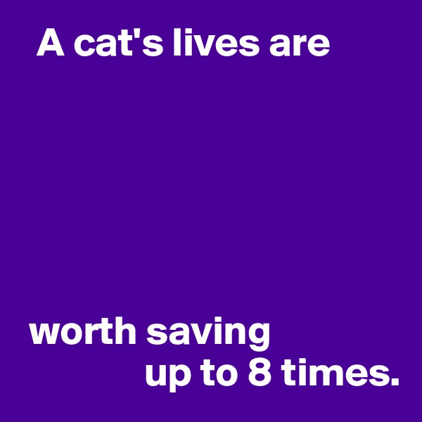   A cat's lives are






 worth saving 
               up to 8 times.