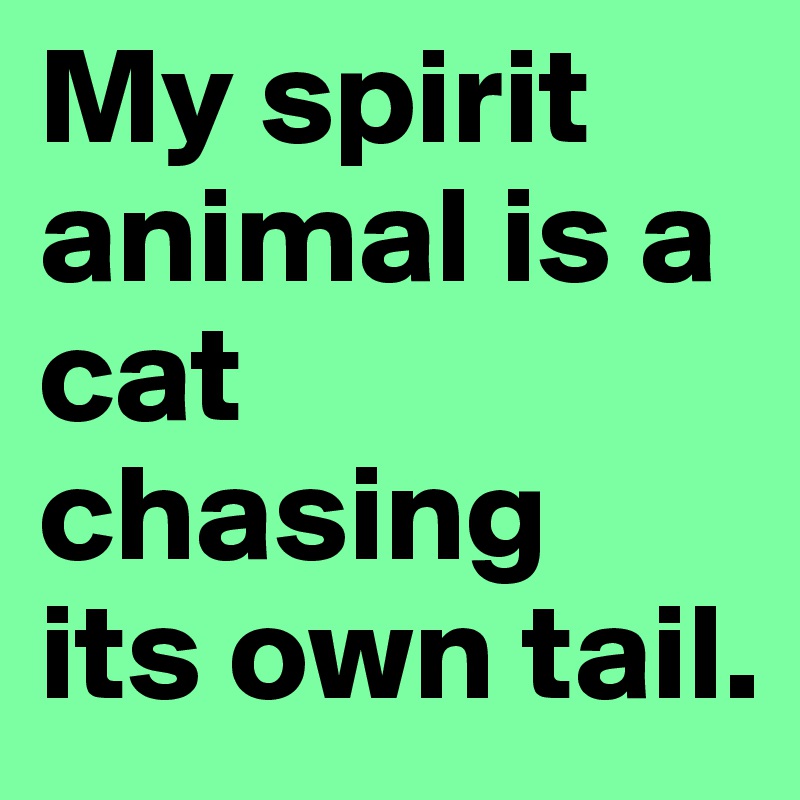 My spirit animal is a cat chasing 
its own tail.