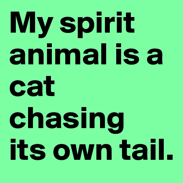 My spirit animal is a cat chasing 
its own tail.