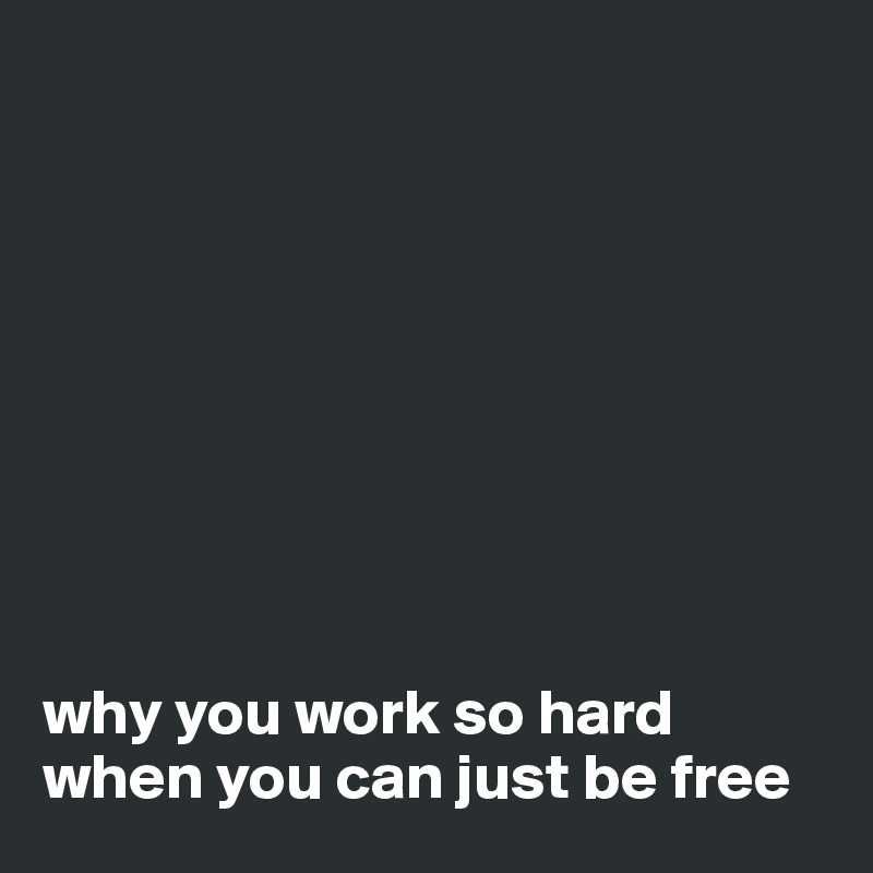 









why you work so hard when you can just be free