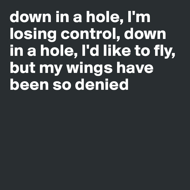 down in a hole, I'm losing control, down in a hole, I'd like to fly, but my wings have been so denied




