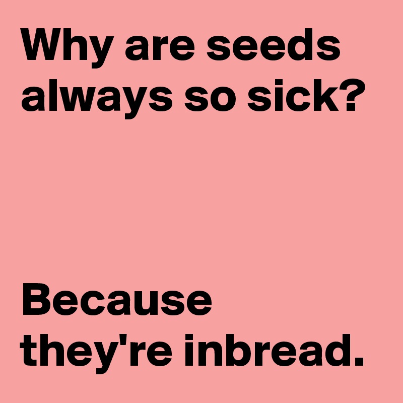 Why are seeds always so sick?



Because they're inbread.