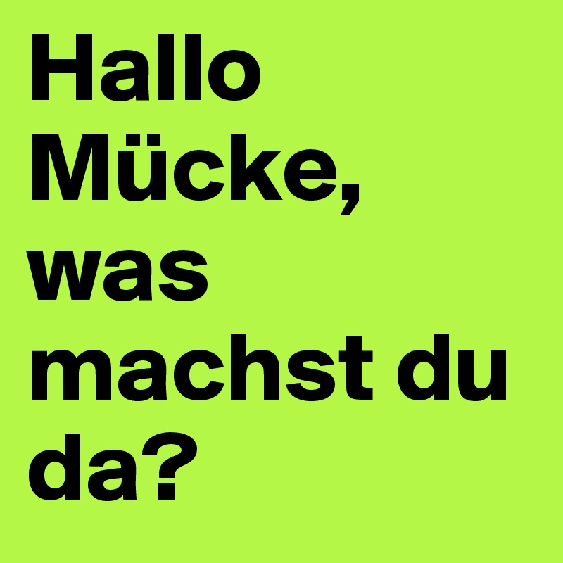 Hallo Mücke, was machst du da?