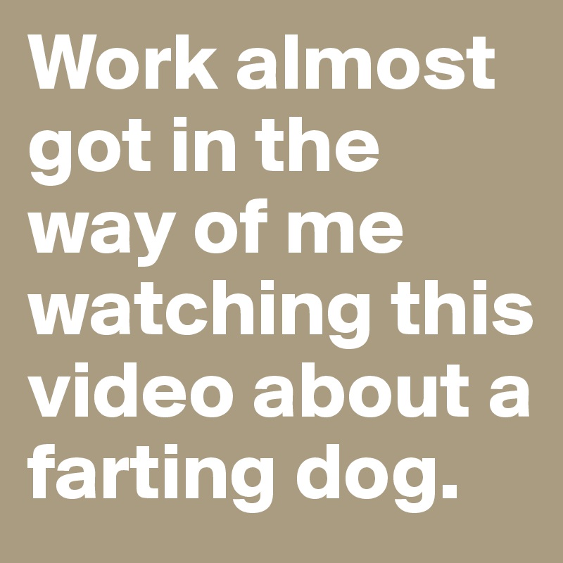 Work almost got in the way of me watching this video about a farting dog.