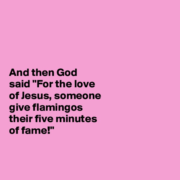 




And then God 
said "For the love 
of Jesus, someone 
give flamingos 
their five minutes 
of fame!"


