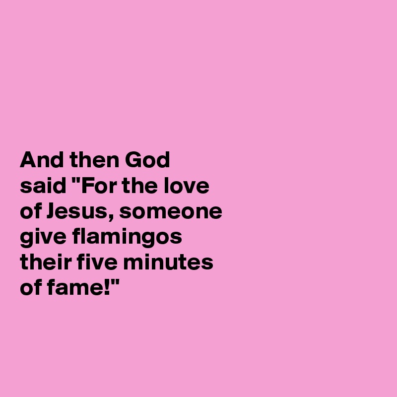 




And then God 
said "For the love 
of Jesus, someone 
give flamingos 
their five minutes 
of fame!"


