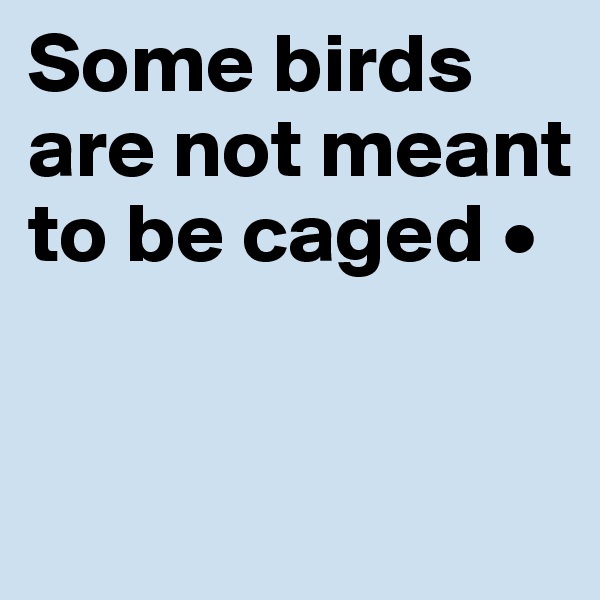 Some birds are not meant to be caged •


