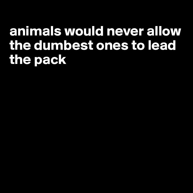 
animals would never allow the dumbest ones to lead the pack







