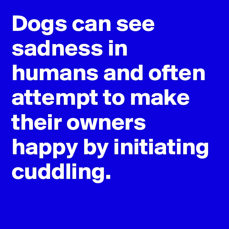 Dogs can see sadness in humans and often attempt to make their owners happy by initiating cuddling.