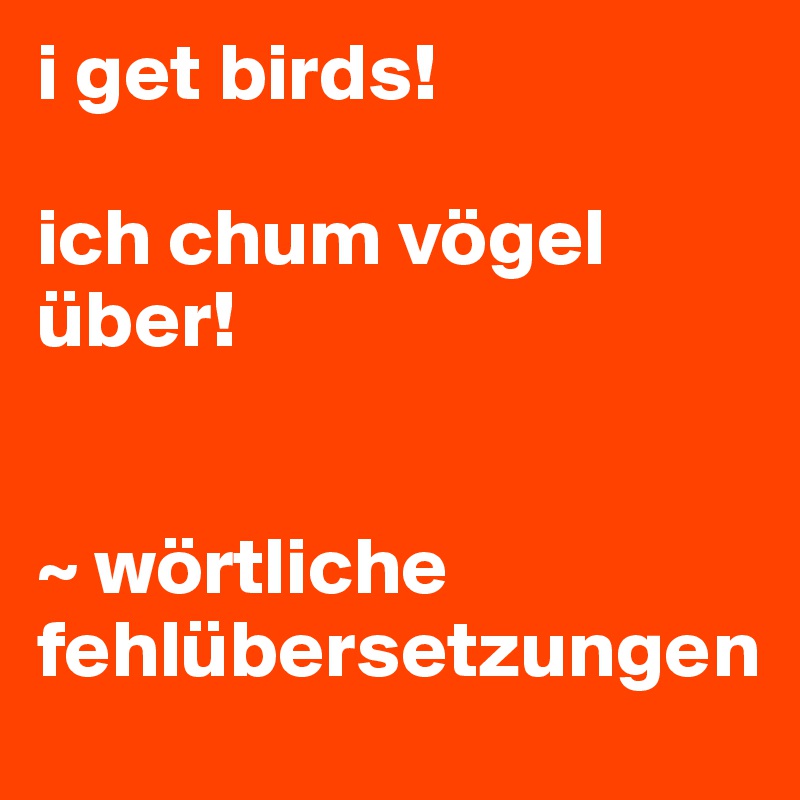 i get birds!

ich chum vögel über!


~ wörtliche fehlübersetzungen