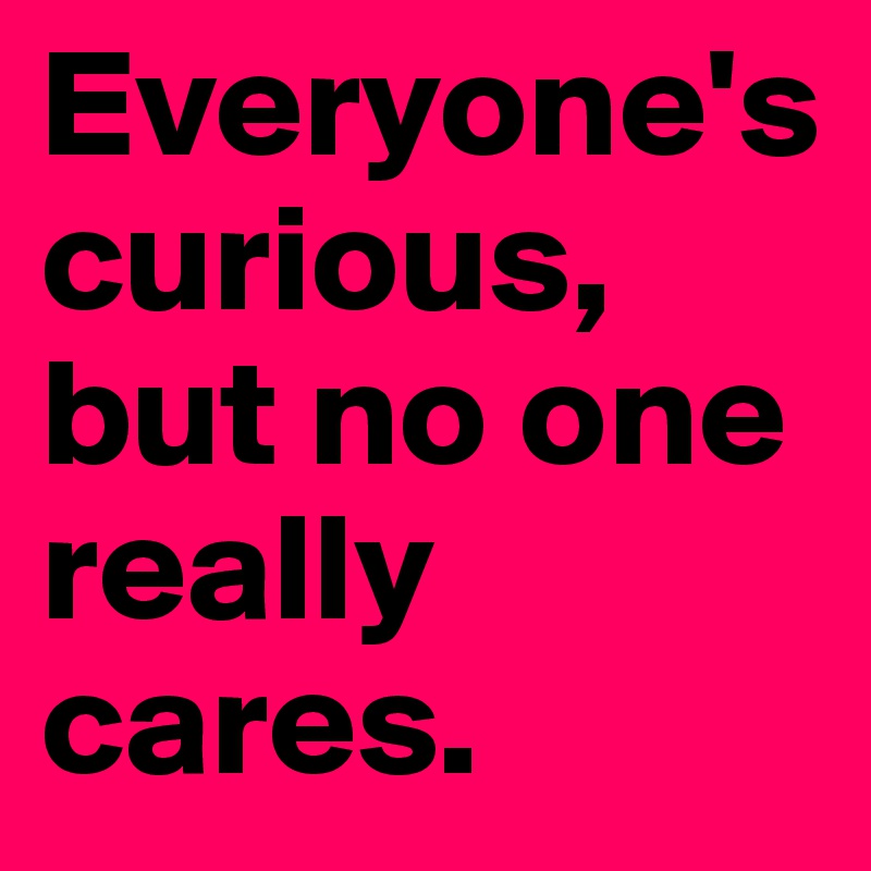 Everyone's curious,
but no one really cares.