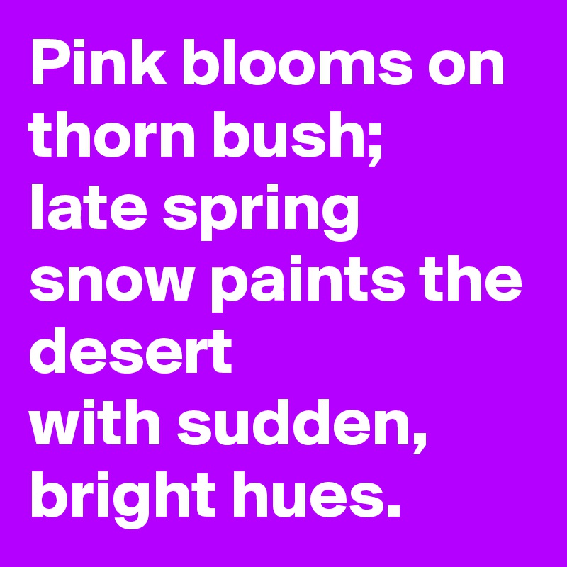 Pink blooms on thorn bush;
late spring snow paints the desert
with sudden, bright hues.
